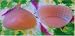 Silicone Breast Massage Enhancers Bra Inserts, Size C