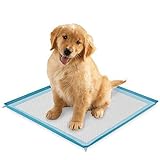 Puppy Pee Pads - 23" x 22" Great for Potty Training or Older Dogs - Wee Pad with Scent Remover - Pack of 100 Large Soft Trainer Pads