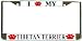 I Love My Tibetan Terrier Paw Prints Dog Chrome Metal License Plate Frame Holder