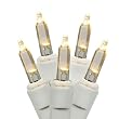 Set of 50 LED Warm Clear Mini Christmas Lights - White Wire