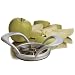 Amco Clean Cut Apple Corer