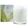 Thymes Aromatic Candle, Naia