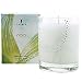 Thymes Aromatic Candle, Naia