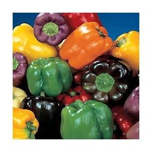 Pepper Big 7 Combo Package Features 7 Colors of Sweet Peppers 70 Seeds per Order