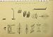 C1890 Polarization Light Shapes Diagrams Old Print
