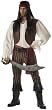 Rogue Pirate Adult Costume - Adult Costumes
