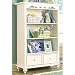 Ashton Cottage Bookcase
