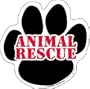 Animal Rescue Awareness Paw Magnet