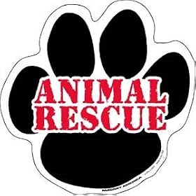Animal Rescue Awareness Paw Magnet
