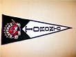 Toronto Raptors - NBA Basketball Classic (Pennants)