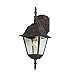 Transglobe Lighting 4411 BC Outdoor Wall Light with Beveled Glass Shade, Black Copper Finished