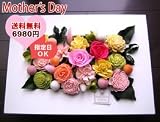 �y5/9�����w��z��ɑ���v���U�[�u�h�t�����[2009�@�f�G�ȕǏ���z���C�g�@�n�b�s�l�X���y�k�C���E�l���E��B�ɂ��͂������R�P�T�~�z