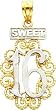 14K Two Tone Gold Sweet 16 Charm