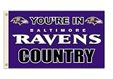 NFL Baltimore Ravens 3-by-5 Foot In Country Flag