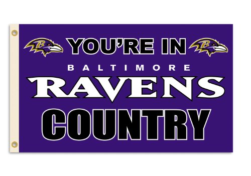 NFL Baltimore Ravens 3-by-5 Foot 