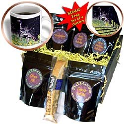 Birds - Wild Turkey Gobbler - Coffee Gift Baskets - Coffee Gift Basket by 3dRose LLC