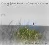 Going Barefoot in Greener Grass