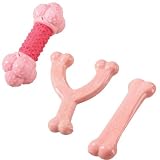 Nylabone Chew Bone Petite Royal Princess-Pink