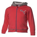 PUMA Kinder Trainingsanzug Hooded Jogger, geranium red, 68, 813696 03