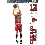 Chicago Bulls Kirk Hinrich Removable Car Truck Window Wall Decal Set (4)
