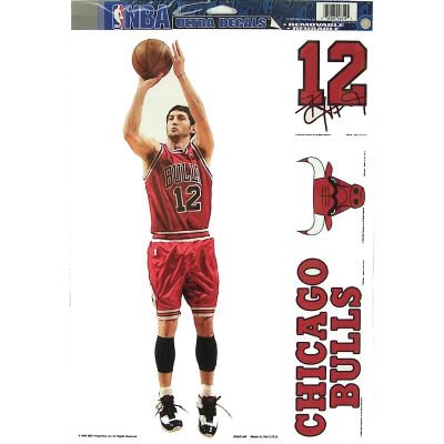 CHICAGO BULLS KIRK HINRICH REMOVABLE CAR TRUCK WINDOW WALL DECAL SET (4)
