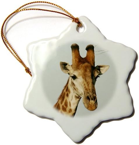 3dRose orn_20123_1 South African Giraffe Head Face Sky Background Porcelain Snowflake Ornament, 3-Inch