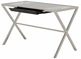 Trevor Modern Stainless Steel & Glass Computer Desk with Drawer