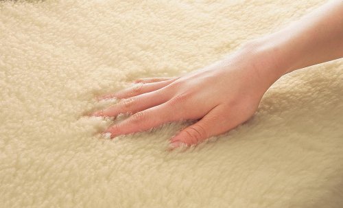 Cover image : Sofwool あったか掛け毛布 ダブル