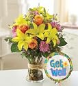 Fields of EuropeTM Get Well - Small