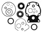 Sierra International 18-2658 Marine Lower Unit Seal Kit for Johnson/Evinrude Outboard Motor