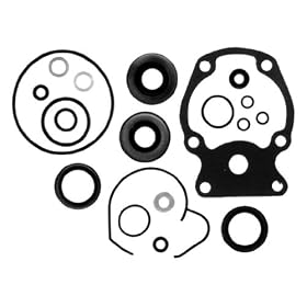 Sierra International 18-2658 Marine Lower Unit Seal Kit for Johnson/Evinrude Outboard Motor