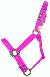 Hamilton 1-Inch Nylon Adjustable Quality Horse Halter with Adjustable Chin, Average Size (800 - 1100 Pounds.), Hot Pink