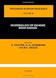 Neurobiology of ischemic brain damage