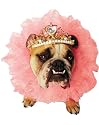 Zelda Queen Pet Costume