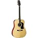 Washburn D9 Series D9K Acoustic Guitar