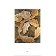 Acanthus (on special paper) Art Poster Print by William Morris, 16x20