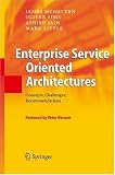  : Enterprise Service Oriented Architectures: Concepts, Challenges, Recommendations