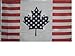 NEOPlex USA Canada Friendship Traditional Flag