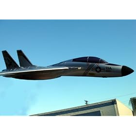 2 CH F-14 Tomcat Radio Remote Control Electric RC Fighter Jet Airplane RTF from Toy RC Airplanes