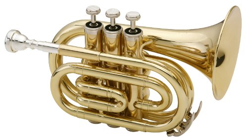 Classic Cantabile TTM Brass bB-Taschentrompete messing Preisvergleich