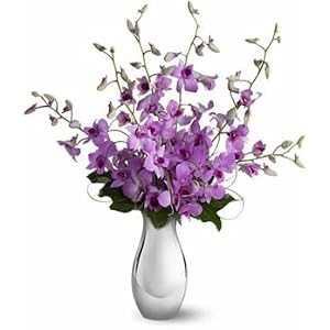 Orchid Reflections by 