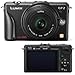 Panasonic Consumer, 12.1mp Digital Camera Black (Catalog Category: Cameras / Digital Cameras- SLR)