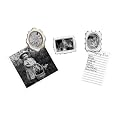 Umbra Loft Vintage Magnetic Frames