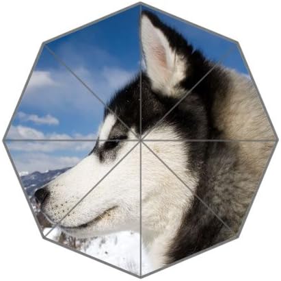 Generic Totes Compact Lightweight Open / Close Foldable Rainy / Sunny Gift Custom Rain Umbrella - Husky On The Top Snowy Mountain Head Close Up Blue Sky Dog Design