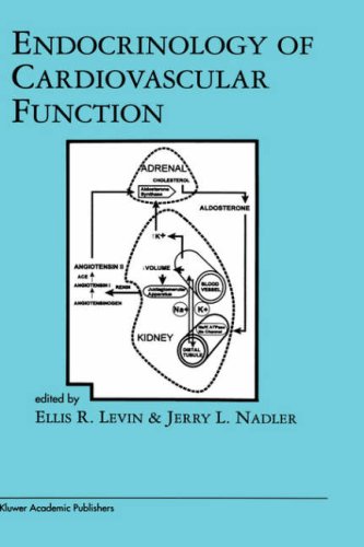 Endocrine-Diseases