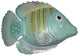 Rainbow Reef Fresh Catch 2