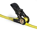 ProGrip 312610 16' x 1" Standard Duty Ratchet with Flex Grip Handle and Endless No Hooks/Lashi