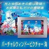 バーチャルウィンドーピクチャー 海