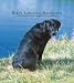 Black Labrador Retrievers 2008 Hardcover Weekly Engagement Calendar