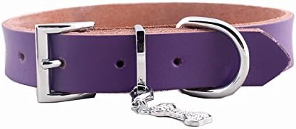 FourlegMate Color Plain Leather Dog Collar with Cute Rhinestone Pendant(PurpleM)